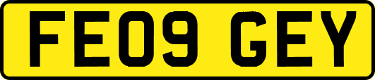 FE09GEY