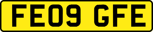 FE09GFE