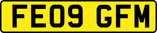 FE09GFM