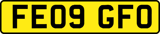 FE09GFO