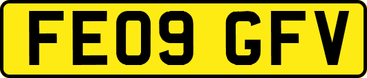 FE09GFV