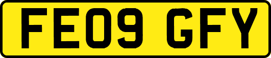 FE09GFY