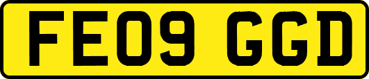 FE09GGD