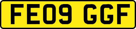 FE09GGF