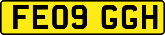 FE09GGH