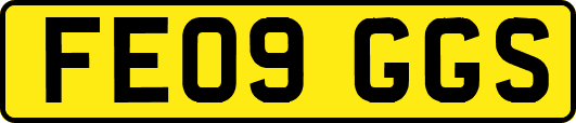 FE09GGS