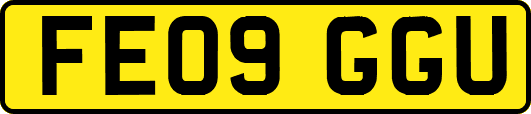 FE09GGU