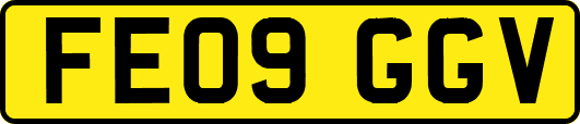 FE09GGV