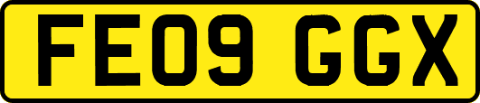 FE09GGX
