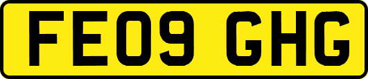 FE09GHG