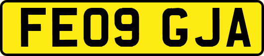 FE09GJA