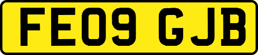 FE09GJB