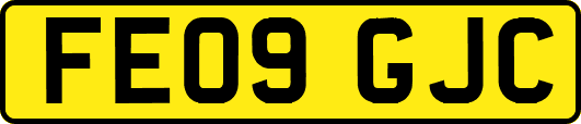 FE09GJC