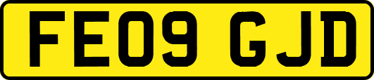 FE09GJD