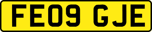 FE09GJE