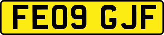 FE09GJF