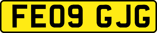 FE09GJG