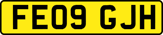 FE09GJH