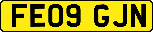 FE09GJN
