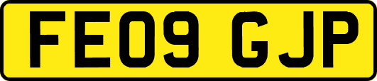 FE09GJP