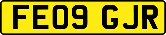 FE09GJR