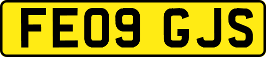 FE09GJS