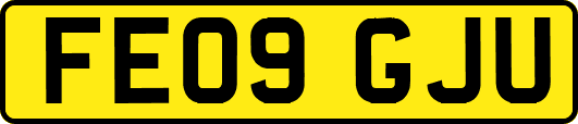 FE09GJU