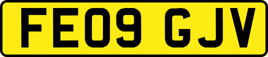 FE09GJV