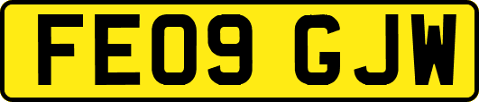 FE09GJW