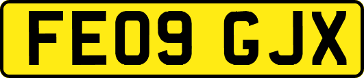 FE09GJX