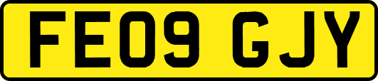 FE09GJY