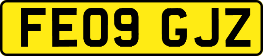 FE09GJZ