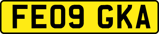 FE09GKA