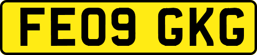 FE09GKG