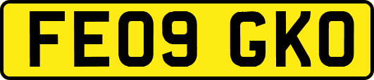 FE09GKO