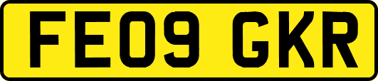 FE09GKR