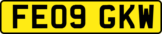 FE09GKW