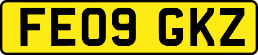 FE09GKZ