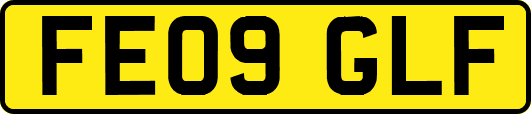 FE09GLF