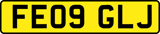 FE09GLJ