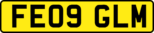 FE09GLM