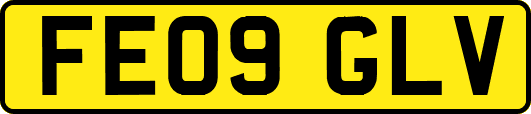FE09GLV