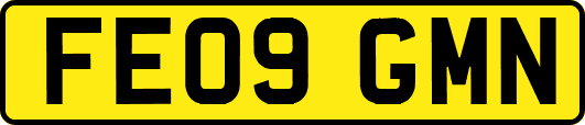 FE09GMN