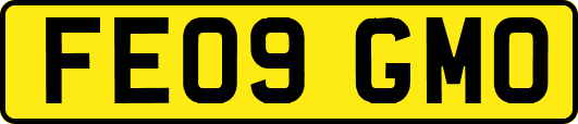 FE09GMO