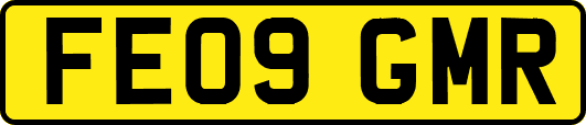FE09GMR