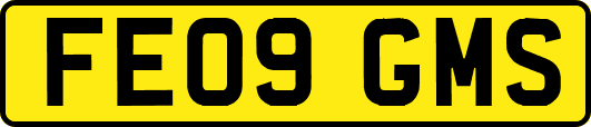 FE09GMS