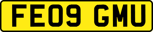 FE09GMU