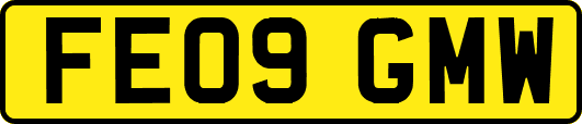 FE09GMW