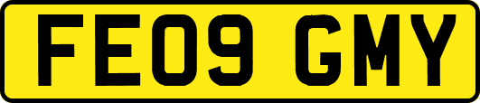 FE09GMY