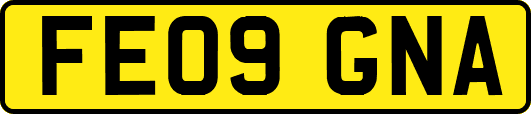 FE09GNA